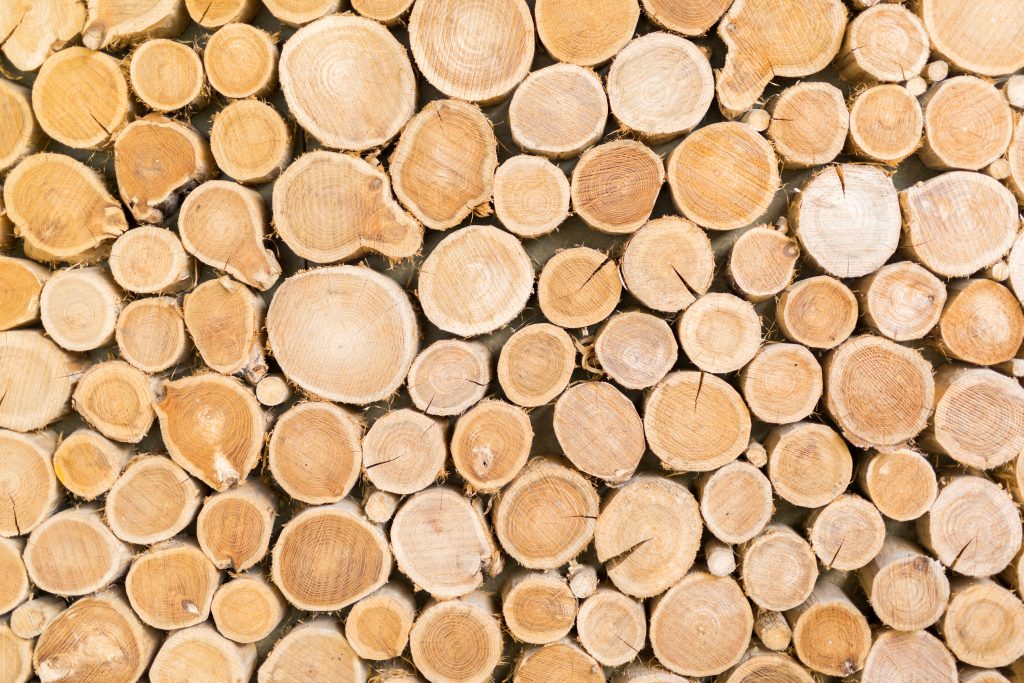 Stacked ends of cut hardwood logs